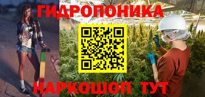 mdpv Кингисепп